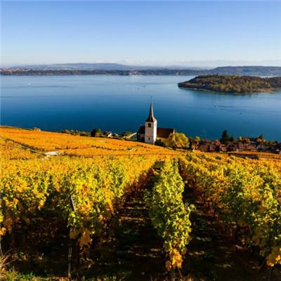 杭州银行聘任副行长王立雄为首席合规官